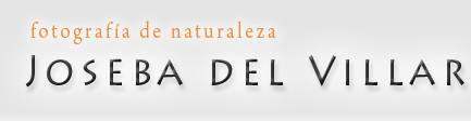 Logotipo de Joseba del Villar. Fotografía de la Naturaleza
