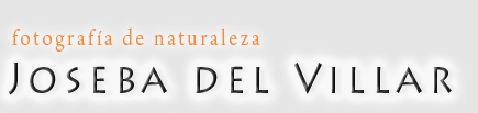 Logotipo de Joseba del Villar. Fotografía de la Naturaleza