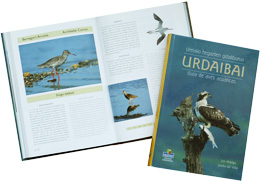 Guía de aves acuticas en Urdaibai