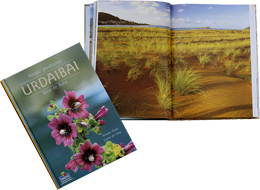 Guía de flores en Urdaibai