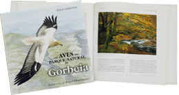 Las aves en el Parque Natural de Gorbeia