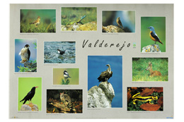 Parque Natural Valderejo. Fauna